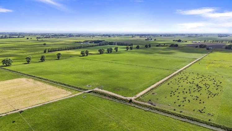 145 Campbells Road Opiki_3