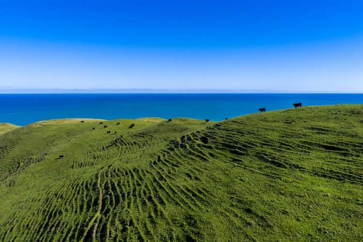 767 Te Akau Coast Road Te Akau_17