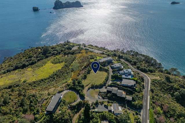 A rare Hahei perspective – dual coastal views