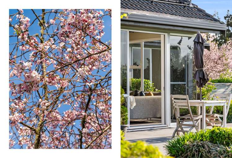 37a William Potter Lane Karaka_31