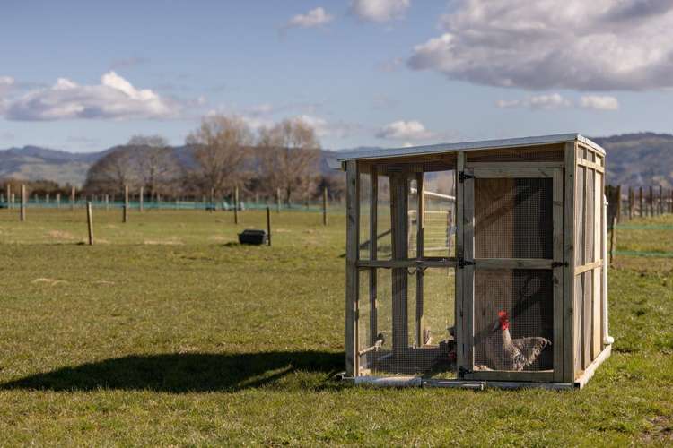 84 Grieve Road Otakiri_30