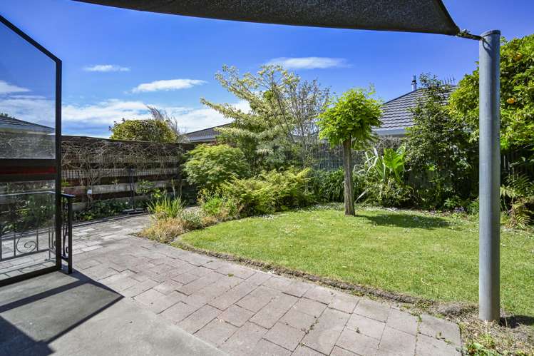 3/205 Knight Street Hastings_11