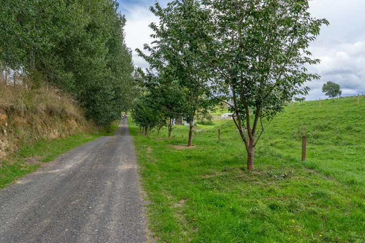428 Whatauri Road Wharepapa South_27