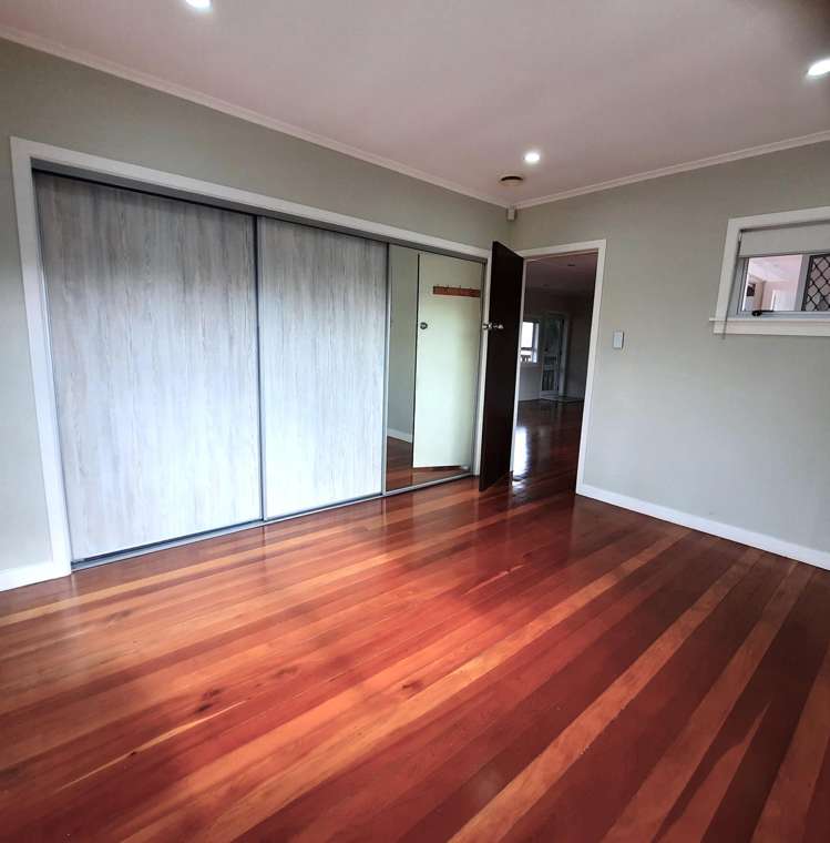 247A Hillsborough Road Hillsborough_9