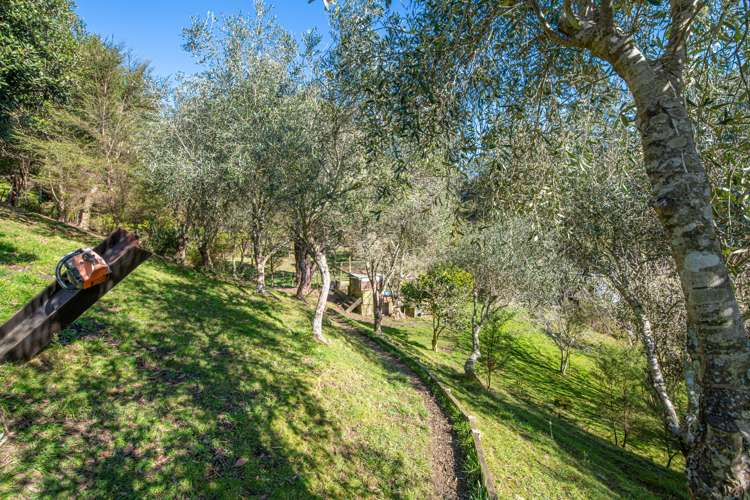 341 Kanohi Road Kaukapakapa_16