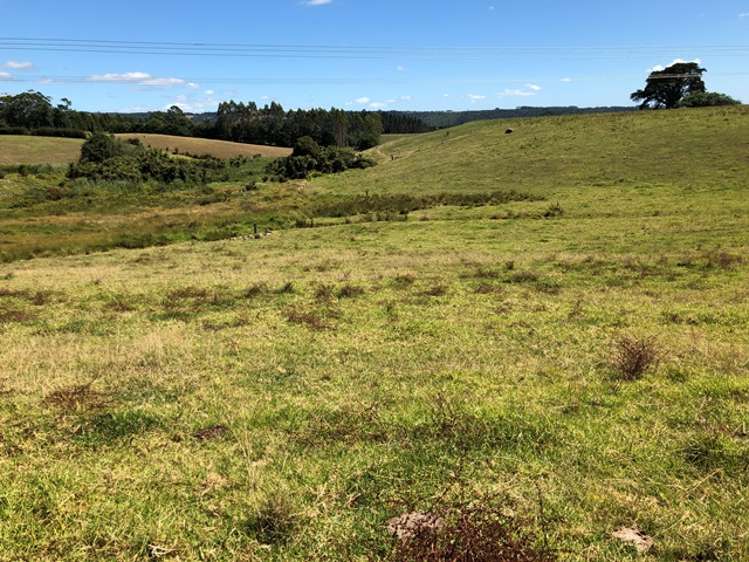 Te Ahu Ahu Road Waimate North_6