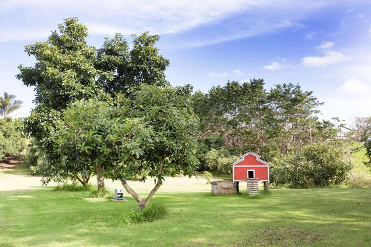 3203 Pouto Road Te Kopuru_17
