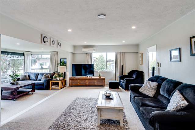 3 Plunket Street Tamatea_2