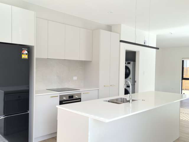 1 Titiko Place Mount Wellington_2