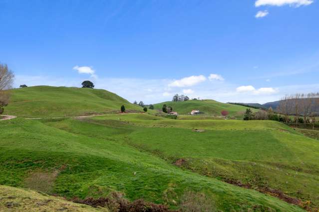 2253 State Highway 30 Atiamuri_4