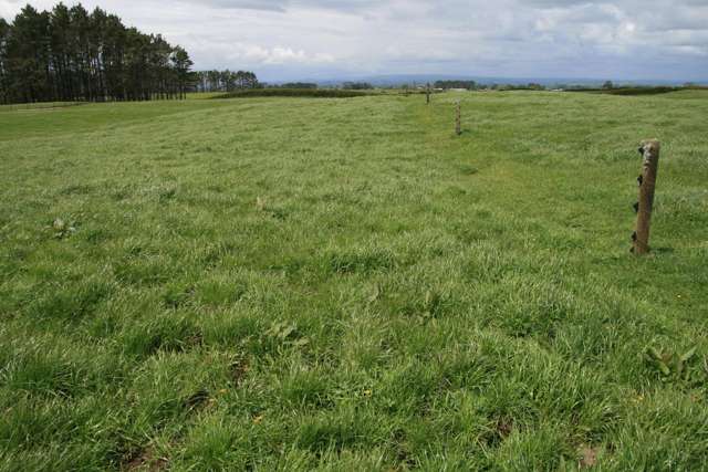 496 Opunake Road Cardiff_1