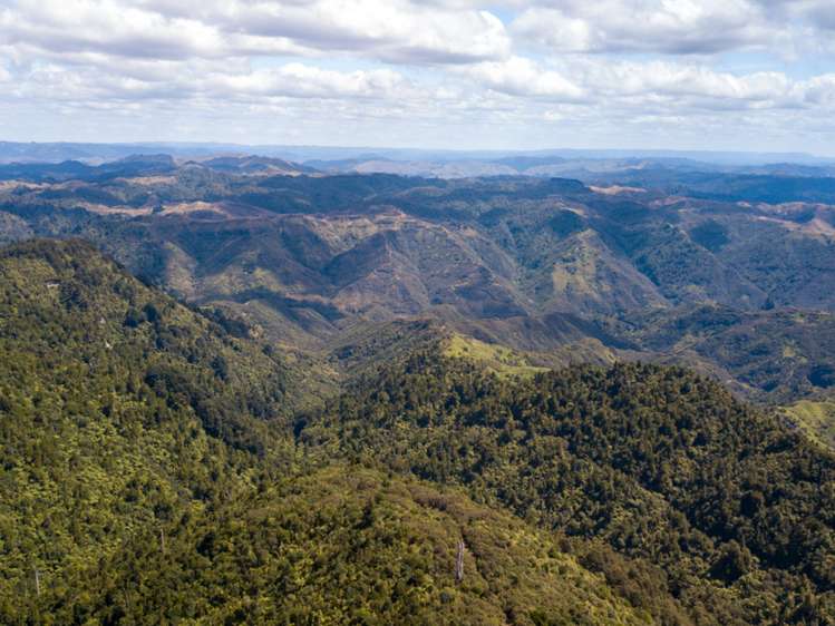 552b Cuff Road National Park_15