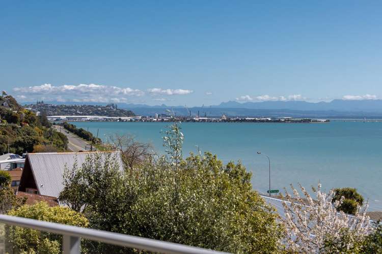 21 Bay View Road Atawhai_23