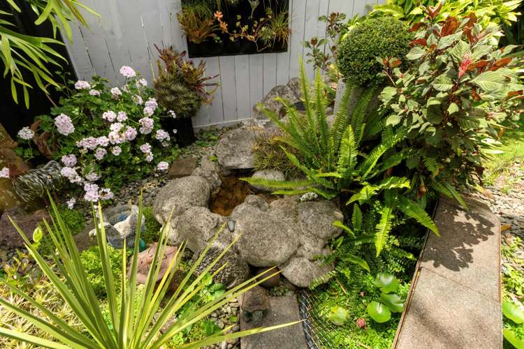 5/378 Devonport Road Tauranga South_15