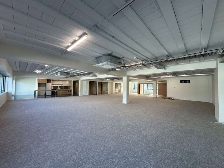 Level 1/11 - 13 Falcon Street Parnell_6