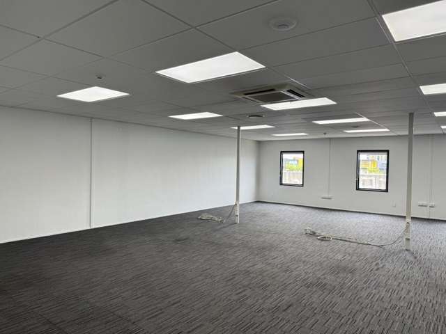 21 Carlyle Street Sydenham_2