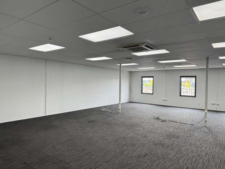 21 Carlyle Street Sydenham_2