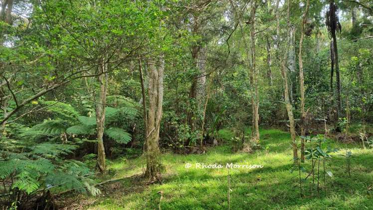 726 Paparoa Station Road Maungaturoto_37