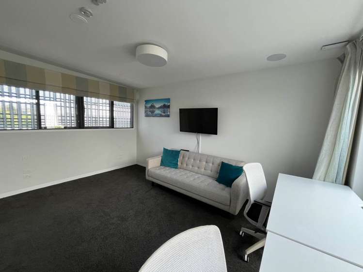 23 Falcon Street Parnell_14