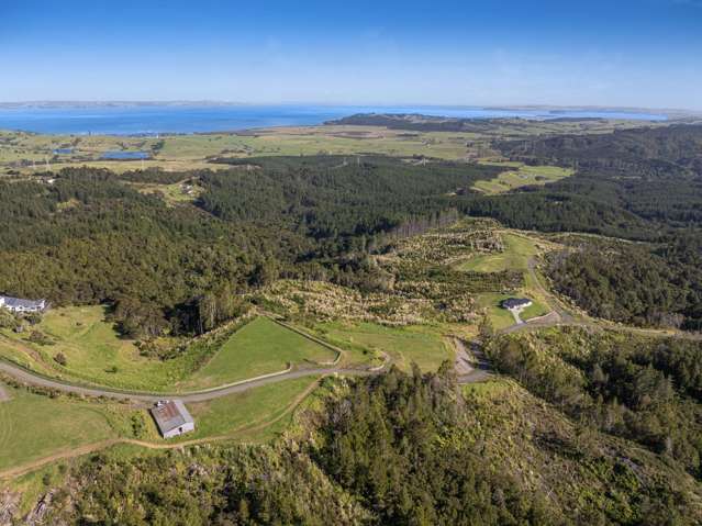 Space, Serenity & Stunning Sea Views- Paua - Lot 4
