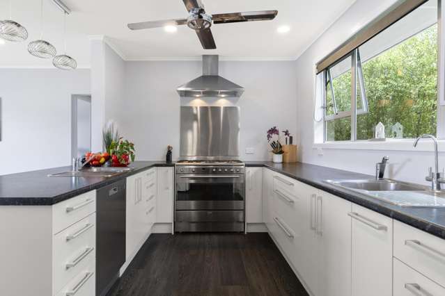 A Place Where Family Stories Begin