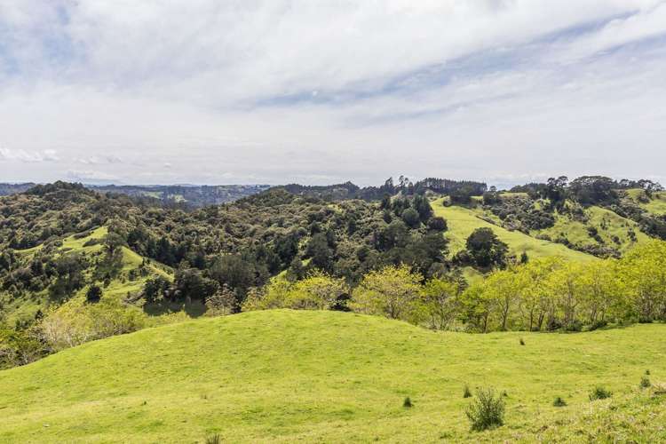 430 Krippner Road Puhoi_12