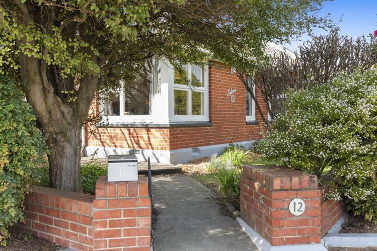 12 Beechworth Avenue Somerfield_15