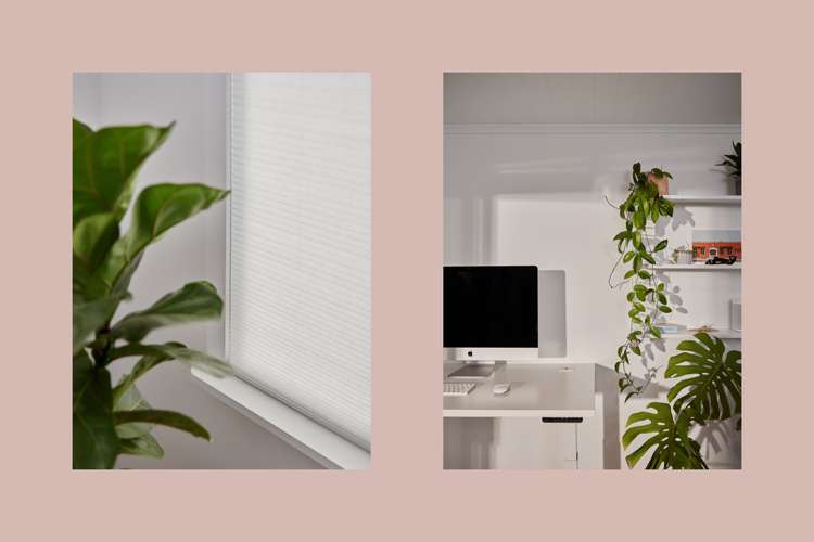 4b Redditch Place Papamoa_17