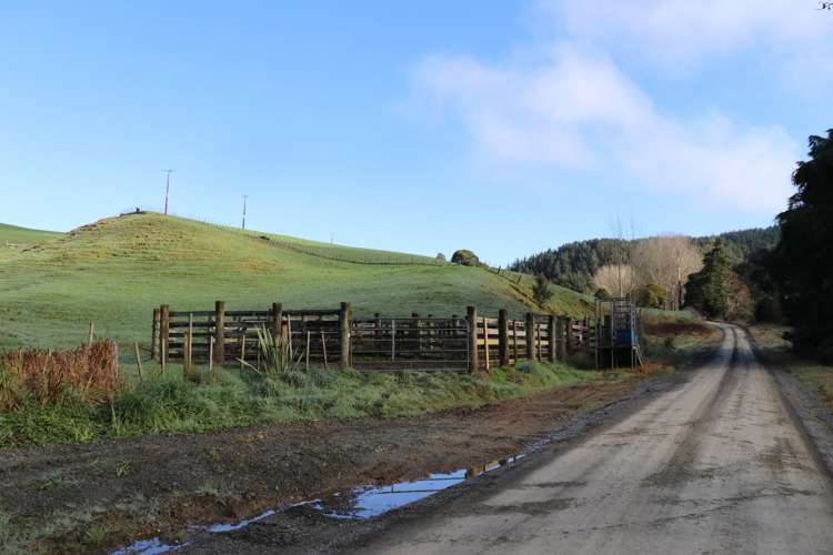 259 Elgood Road Ngaruawahia_14
