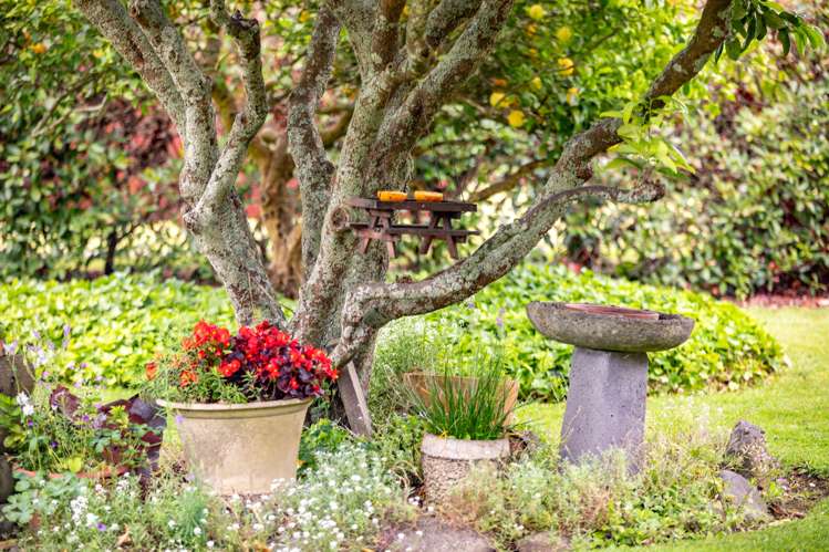 2 Heron Court Te Kowhai_41