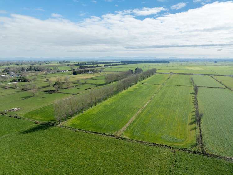 258 Holland Road Puketaha_17