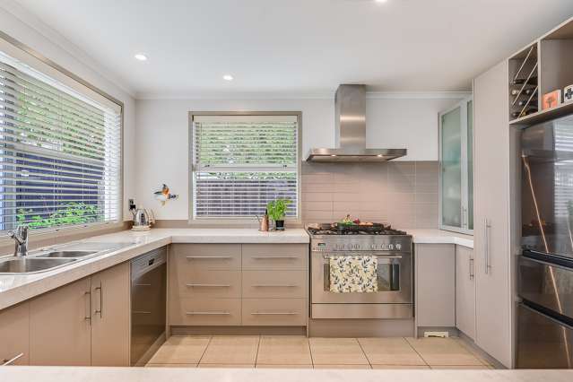 52b Willoughby Street Whitiora_3