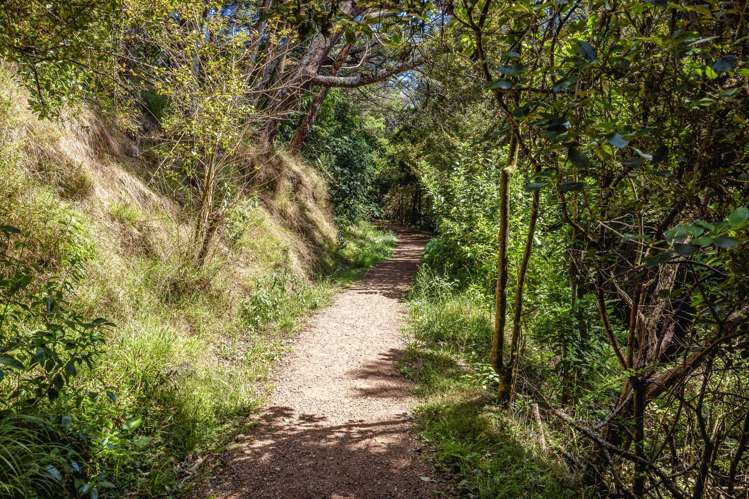 23 Te Aroha Ave Oneroa_4