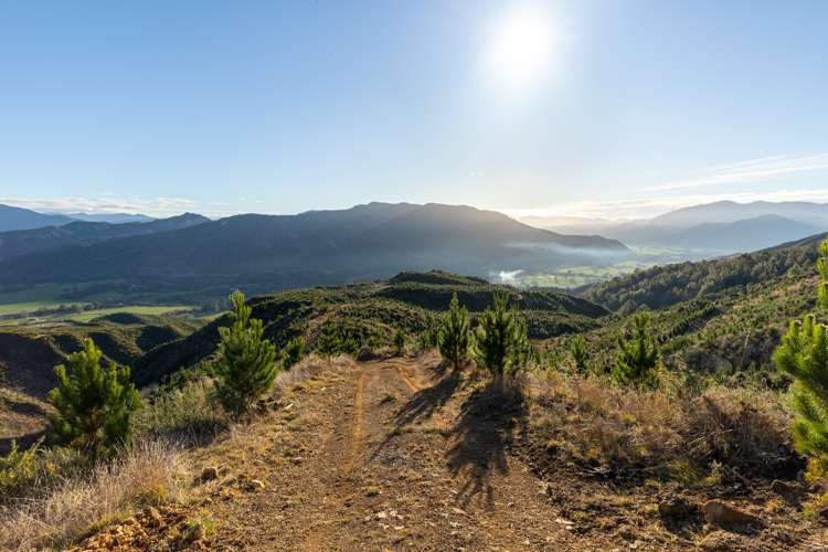 Matakitaki Road Murchison_18