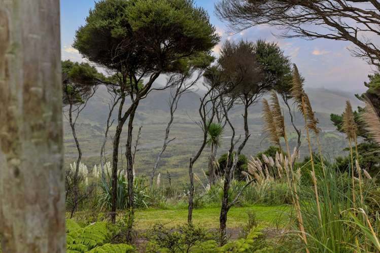 18 Tasman View Road Bethells Beach_22