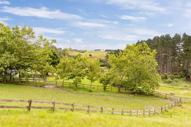 298 Rimmer Road Helensville_33