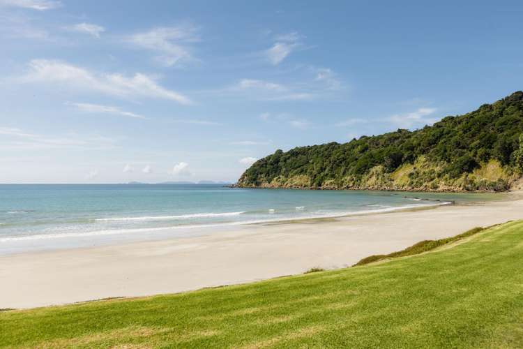 Andersons Cove Mangawhai_6