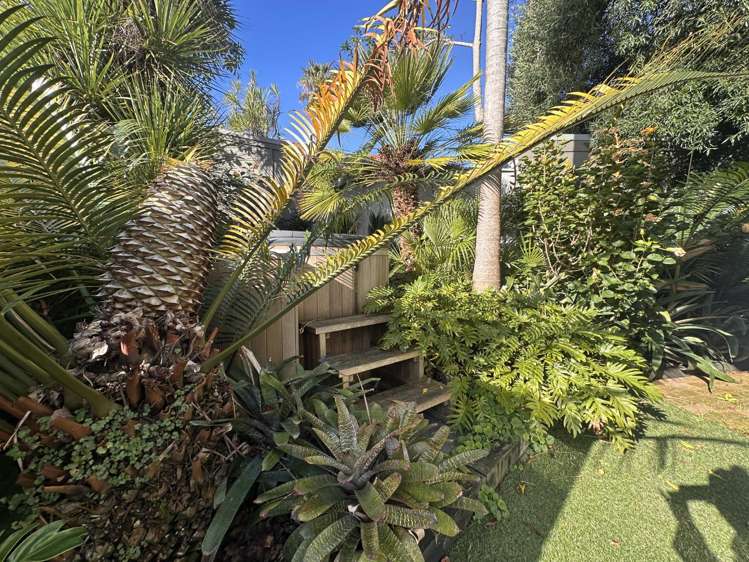 2/79 Shelly Beach Road St Marys Bay_13