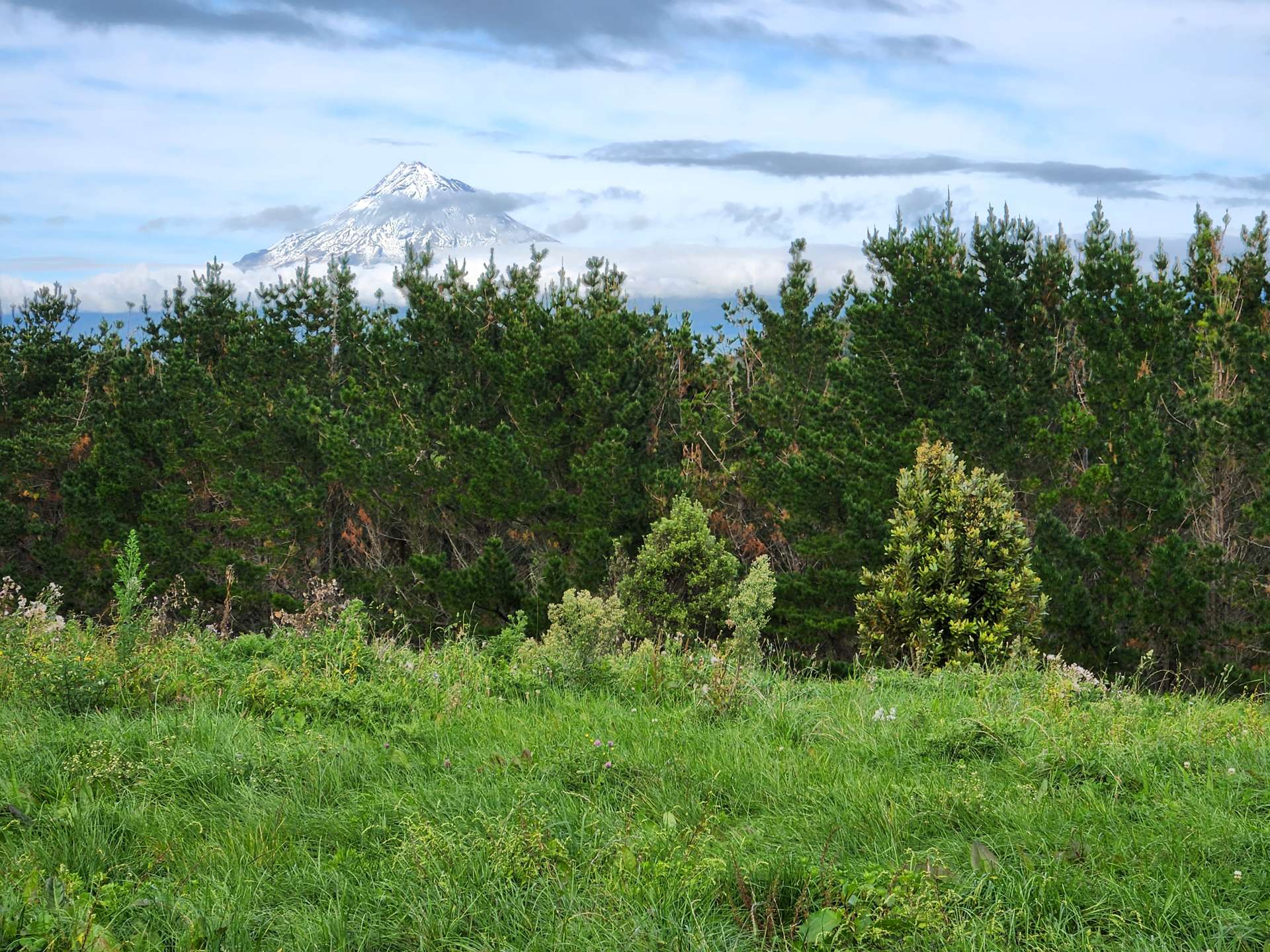 Sold 144 Ackworth Road Lepperton New Plymouth on