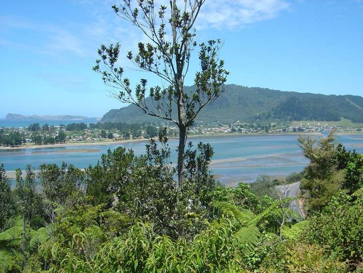 48 Tairua Heights Tairua_2