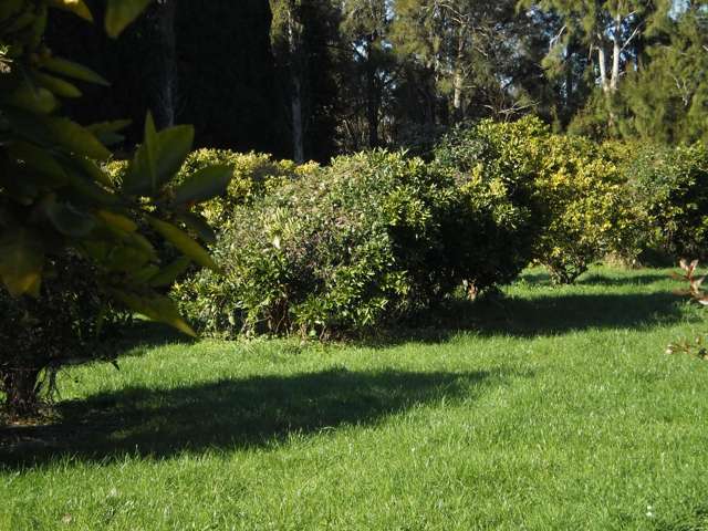 117 Rea Road Hauraki Surrounds_4