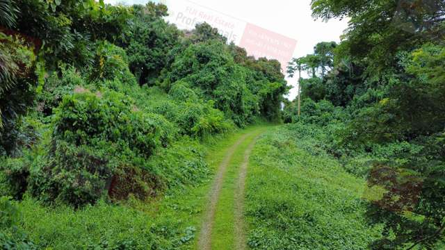 Address withheld Savusavu_3