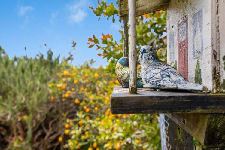 181 Tukapa Street Westown_27