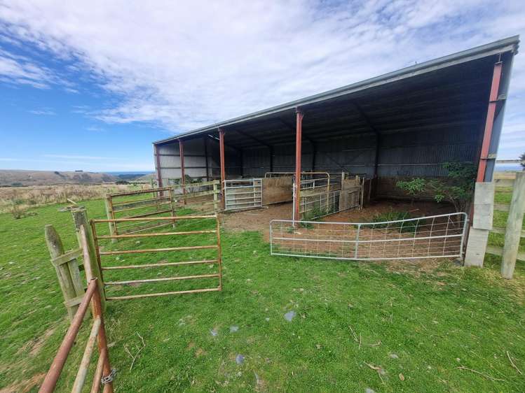 1520 Akatore Road Akatore_13