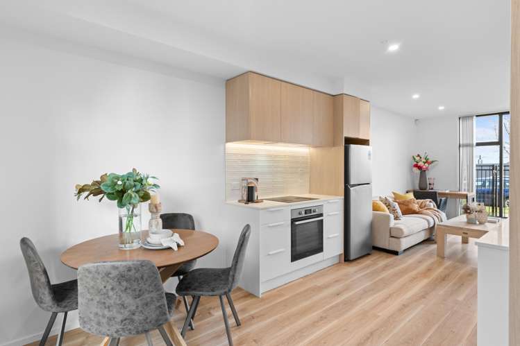 2B Cheltenham Street_0