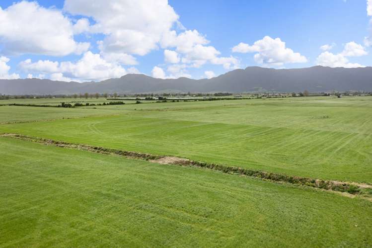 Waghorn Road Manawaru_8