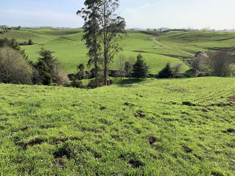 895 Bird Road Stratford_18