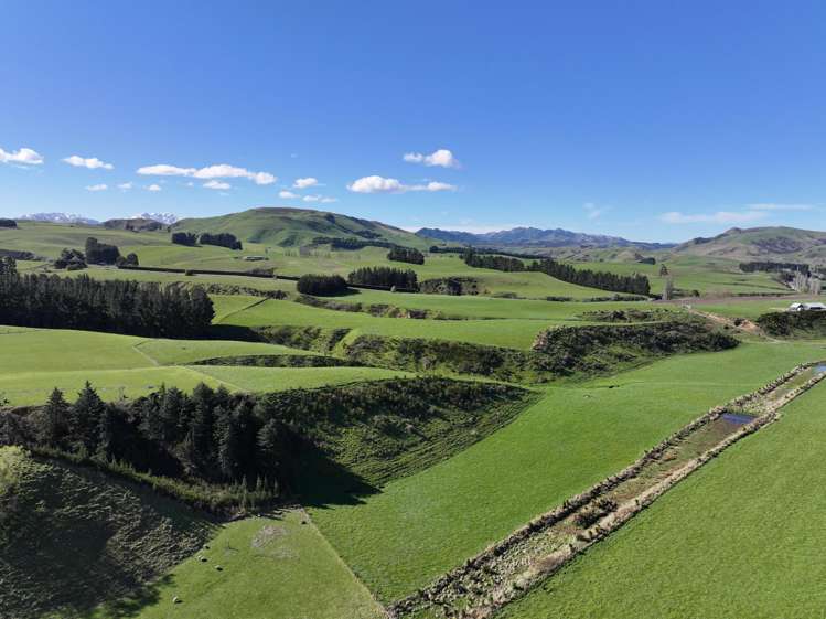 593 Lower Flat Road Waiau_13