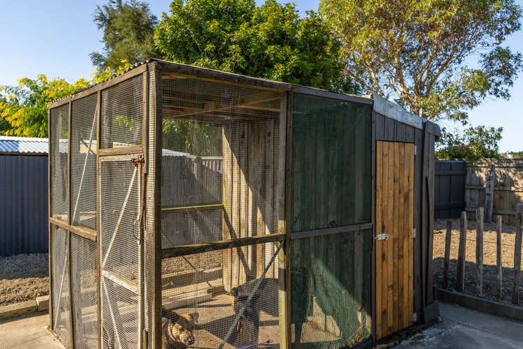 13 Philip Street Carterton_15