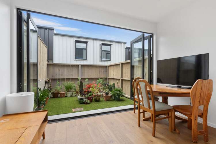 113 Hadlow Terrace Grey Lynn_6